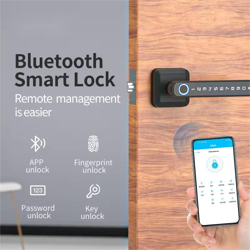 Smart Handle Door Lock