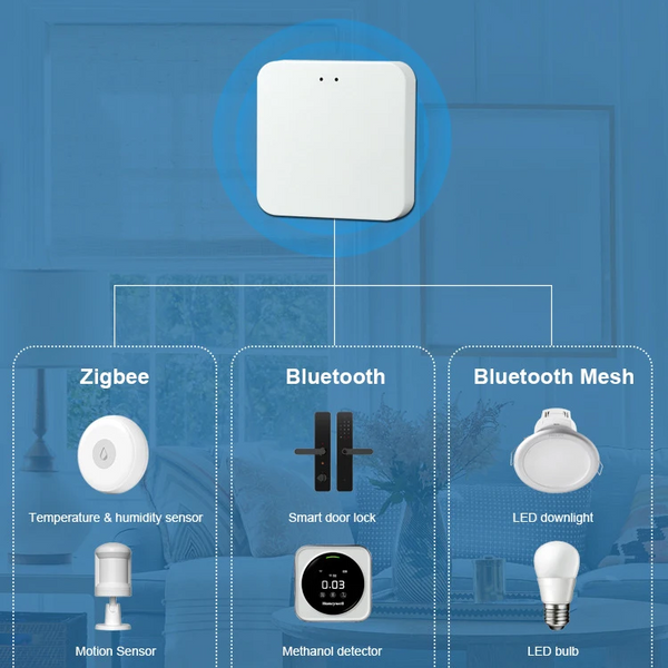 Smart Home Hub