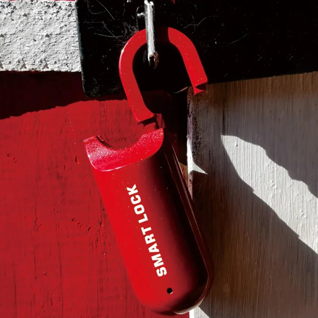 Mini Fingerprint Padlock