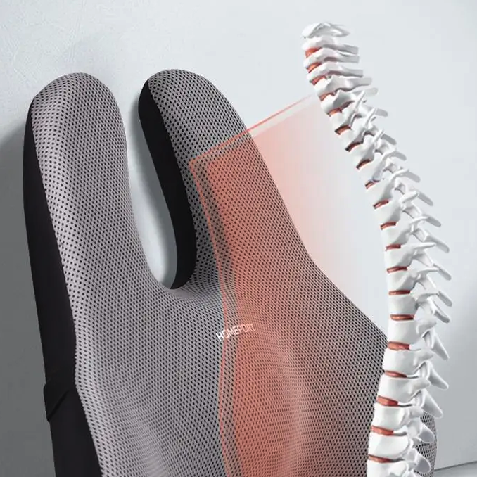 Waist Cushion