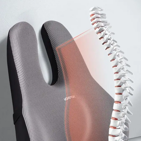 Waist Cushion