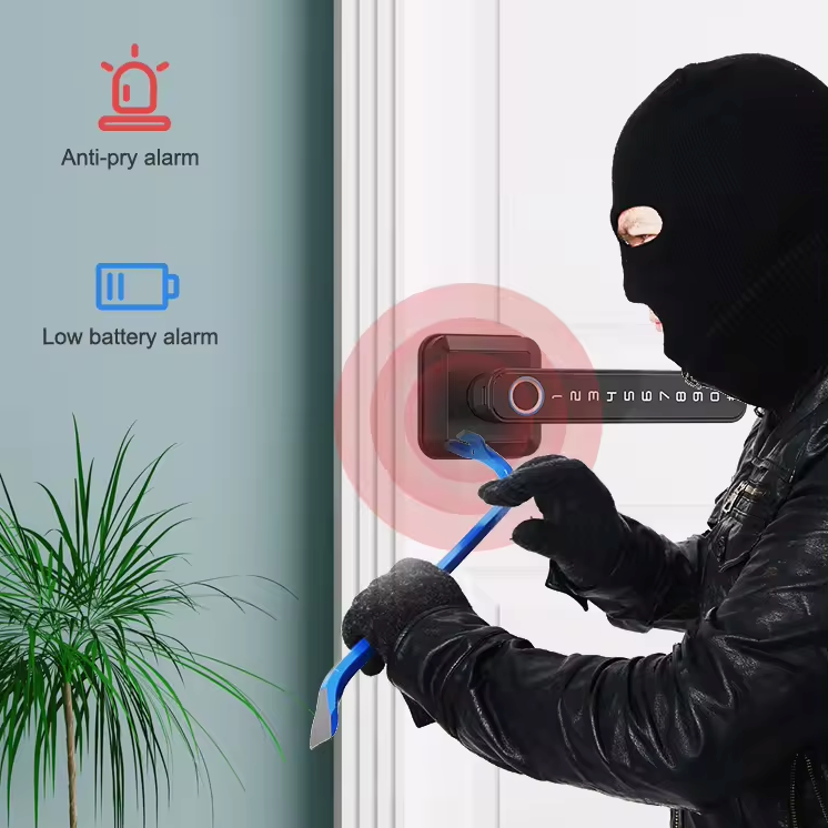 Smart Handle Door Lock