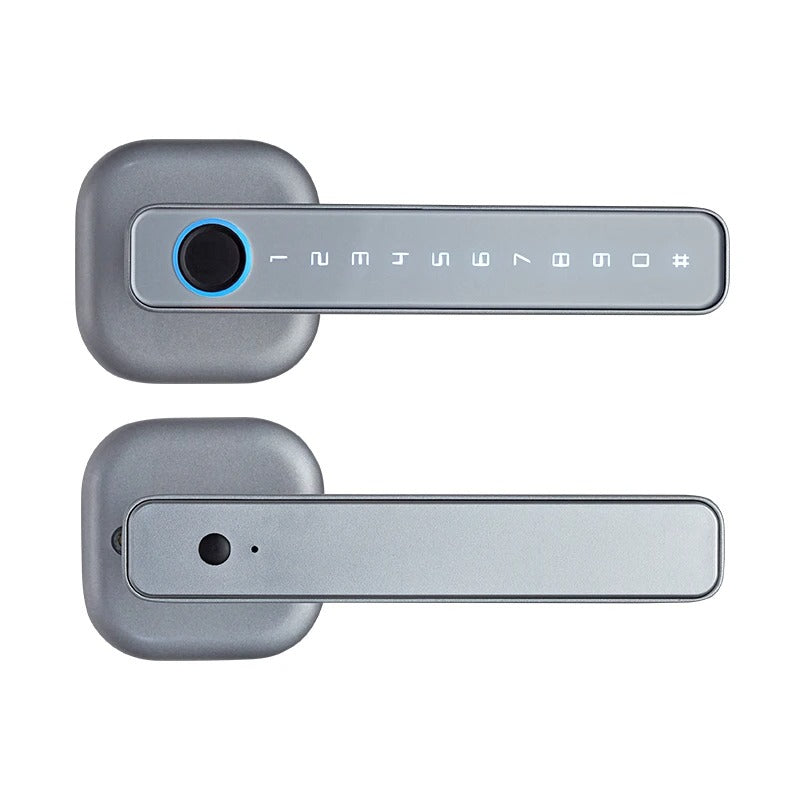 Smart Handle Door Lock